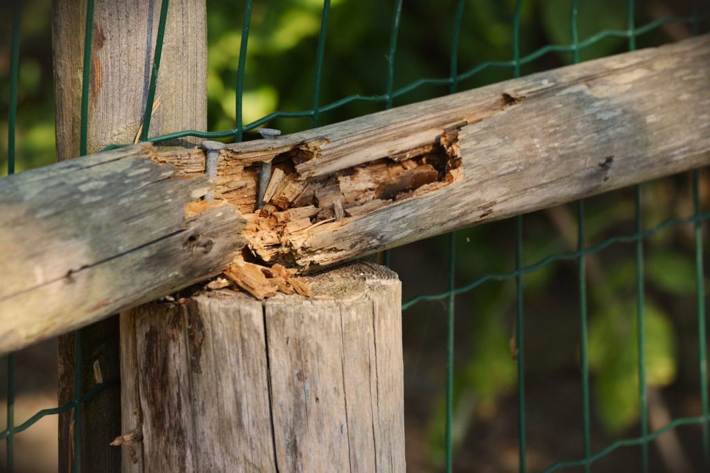 wood, old, broken-1603144.jpg